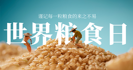 世界糧食日，凈松糧倉空調(diào)落戶山西長治，以科技硬實力筑牢糧食儲備安全屏障